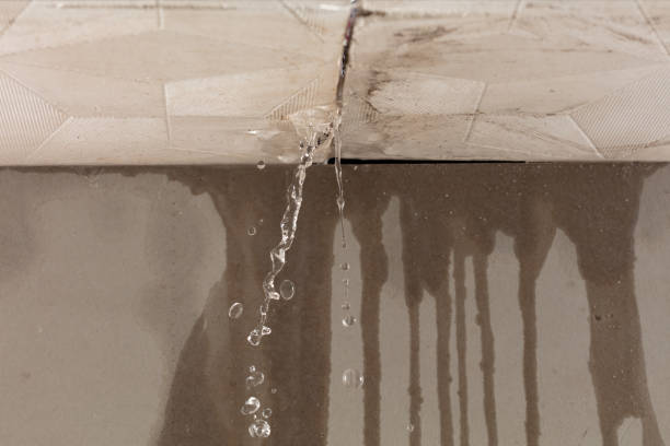 Professional Sewage Cleanup technician working in Hillsdale, MI